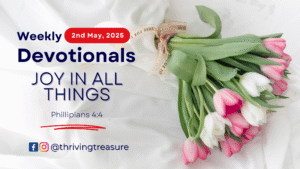 Read more about the article JOY IN ALL THINGS