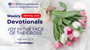 Read more about the article JOY IN THE FACE OF THE CROSS