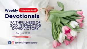 Read more about the article FAITHFULNESS OF GOD IN GRANTING DAVID VICTORY
