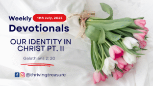 Read more about the article OUR IDENTITY IN CHRIST PT. II