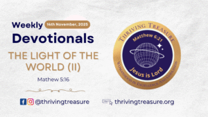 Read more about the article THE LIGHT OF THE WORLD (II)